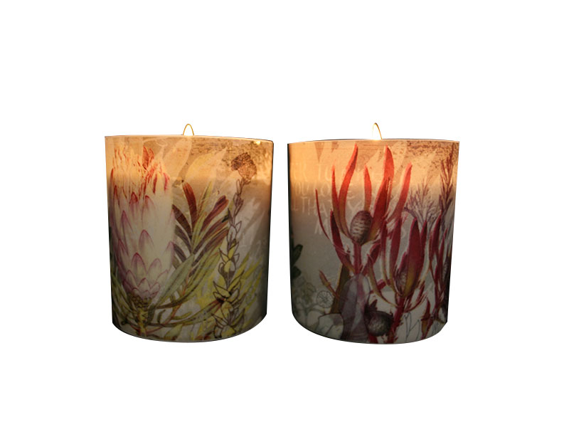 Set of 4 - Botanical (2 designs) - Juniper Musk - Lit Set of 4 - Botanical (2 designs) - Juniper Musk - Lit