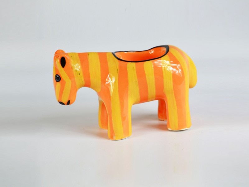 Zebra Zebra