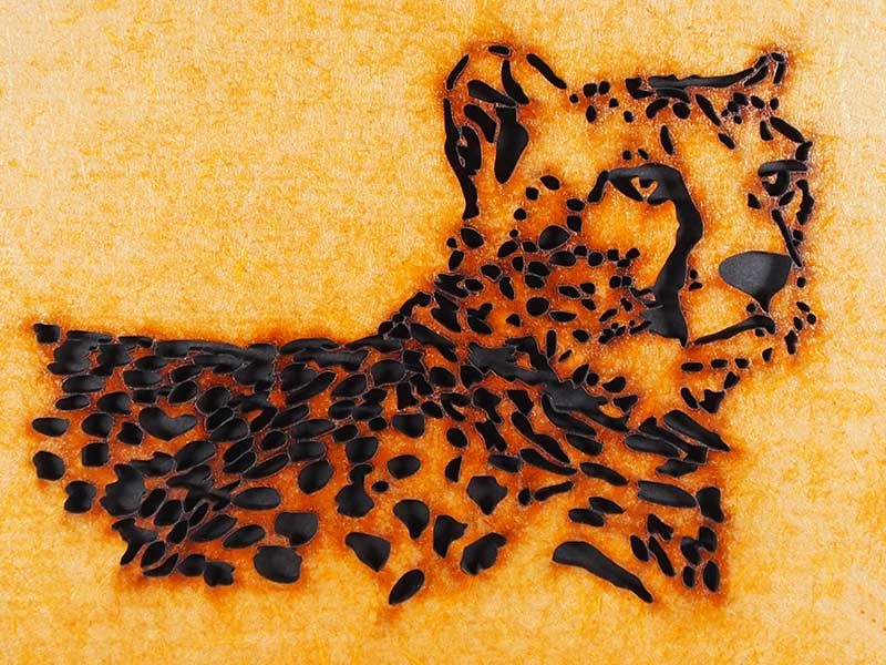 Cheetah Journal Cheetah Journal