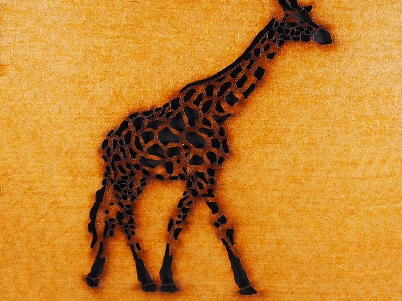 Giraffe Journal Giraffe Journal