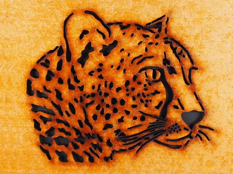 Cheetah Journal Cheetah Journal