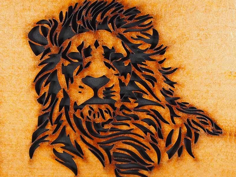 Lion Journal Lion Journal